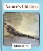 Wildebeest (Nature's Children)